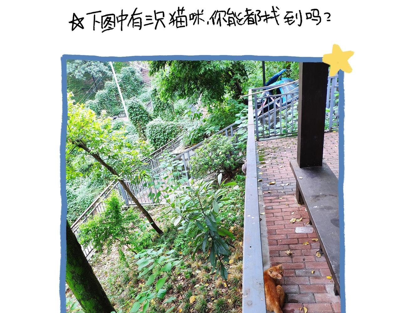 山城温度，山城道路