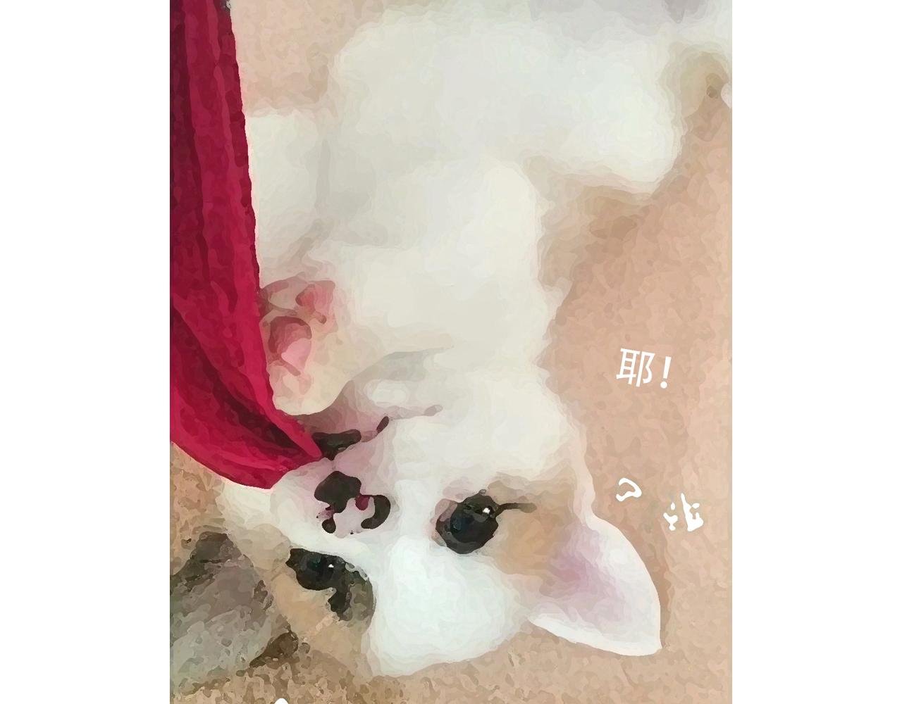 一起玩呀