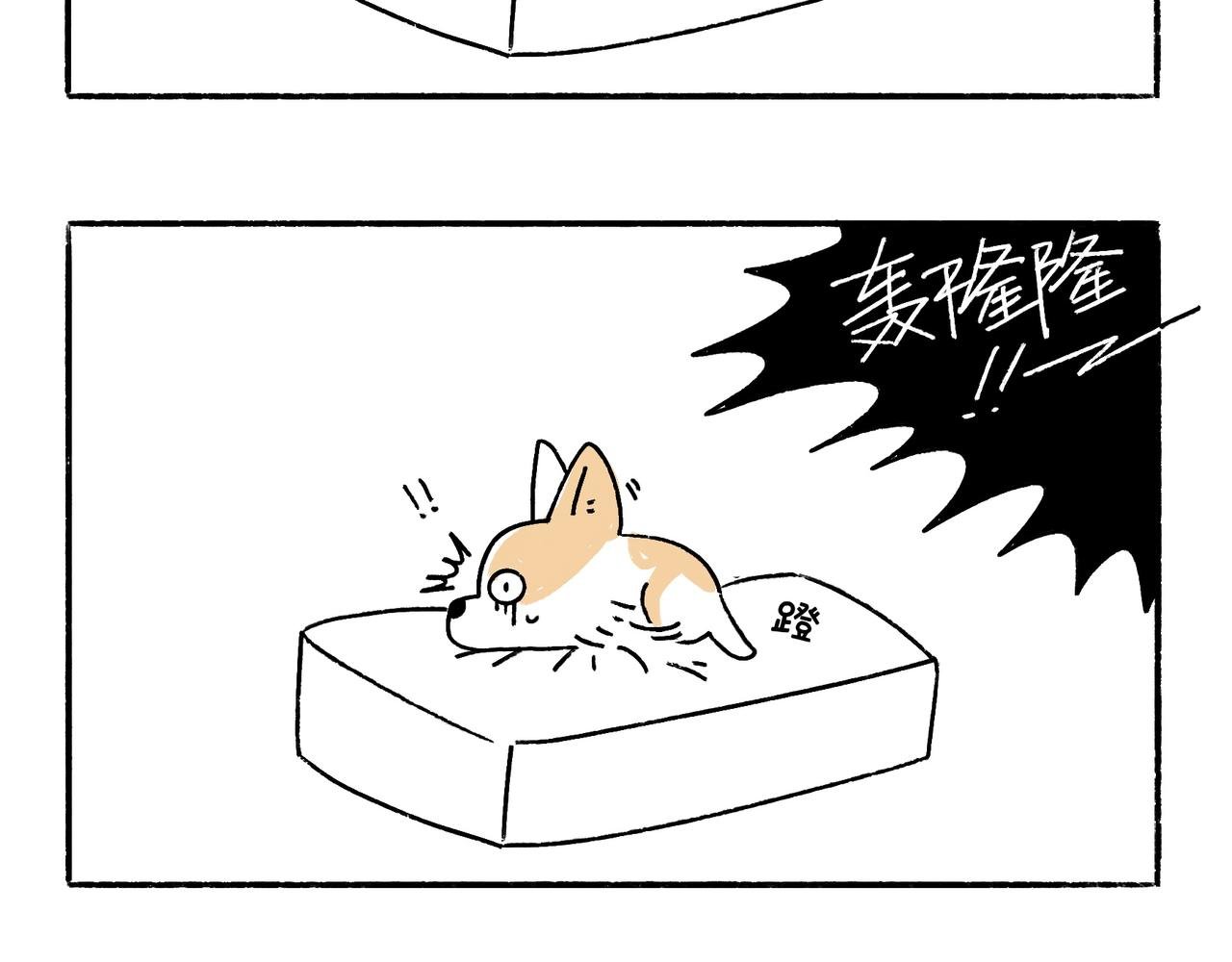 意外如期而至