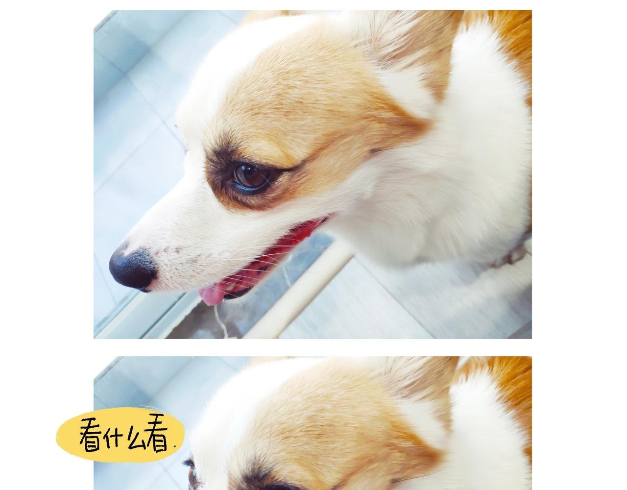 国庆假期