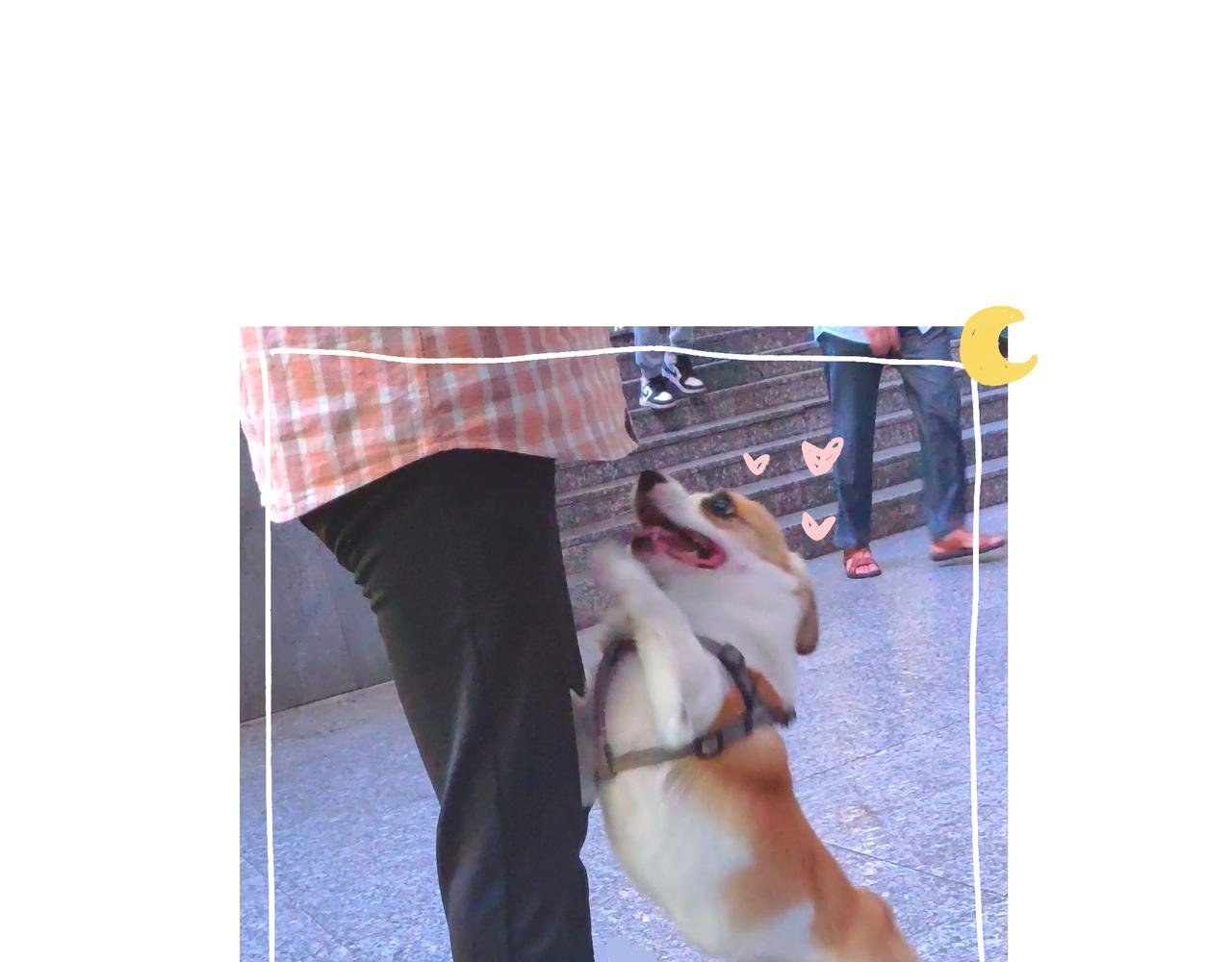 麻吉麻吉