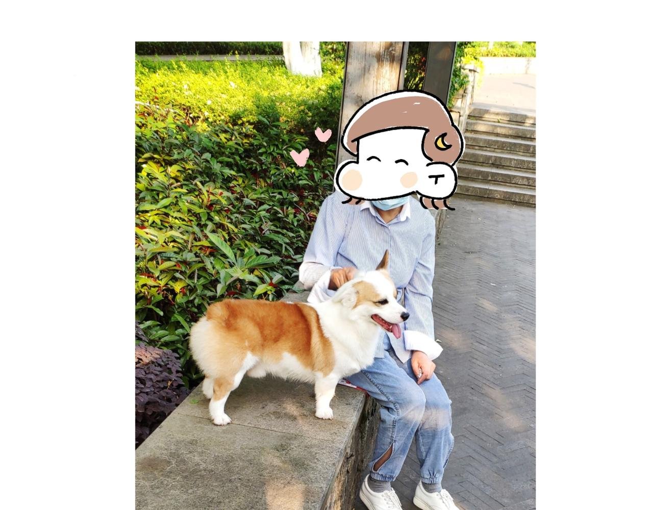 麻吉麻吉