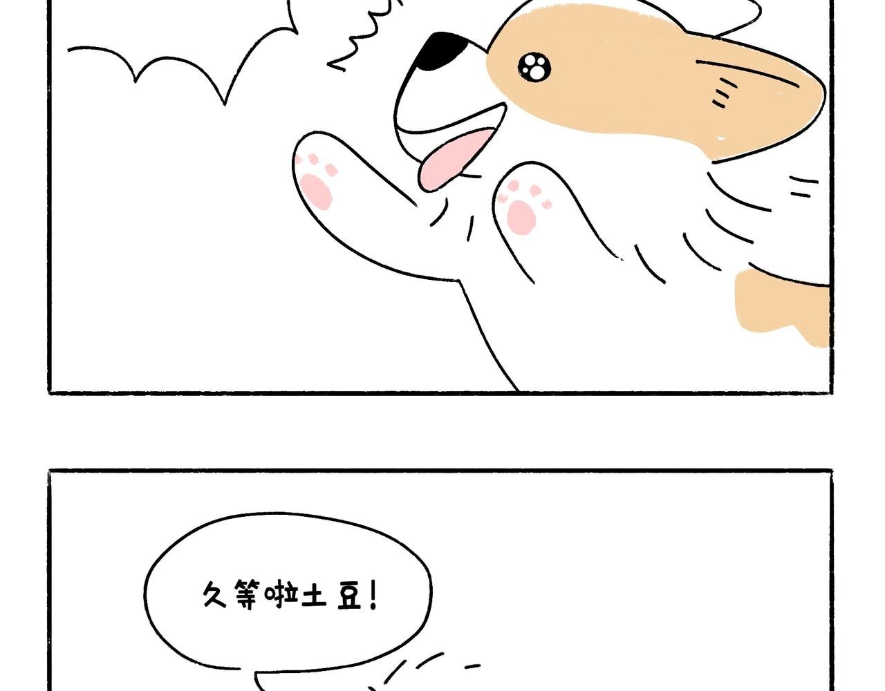 小幸福与小乌龙