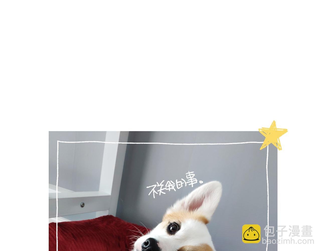 小幸福与小乌龙