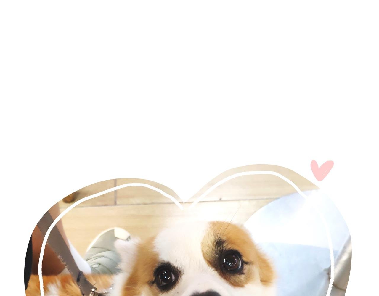 购物狂欢节