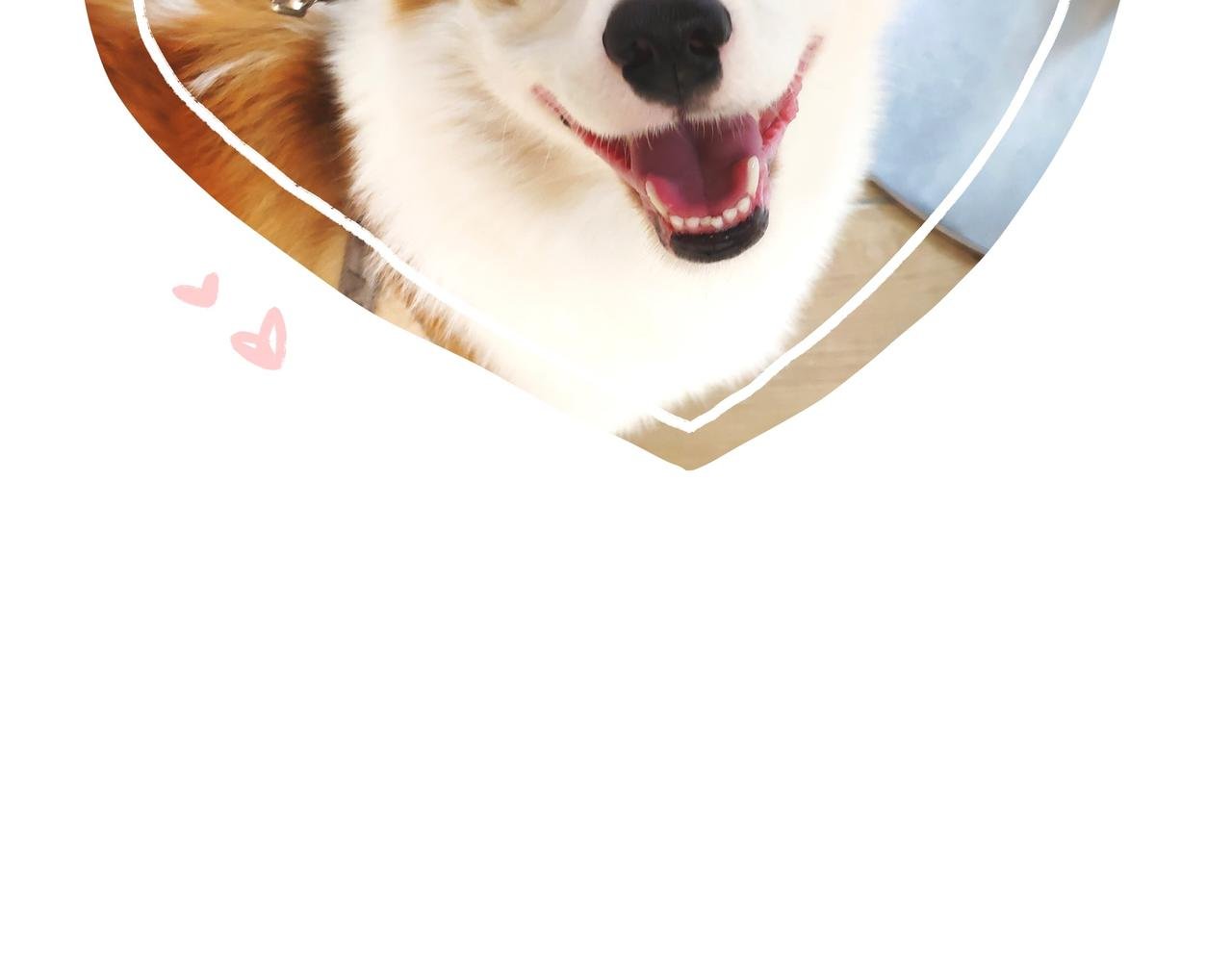 购物狂欢节