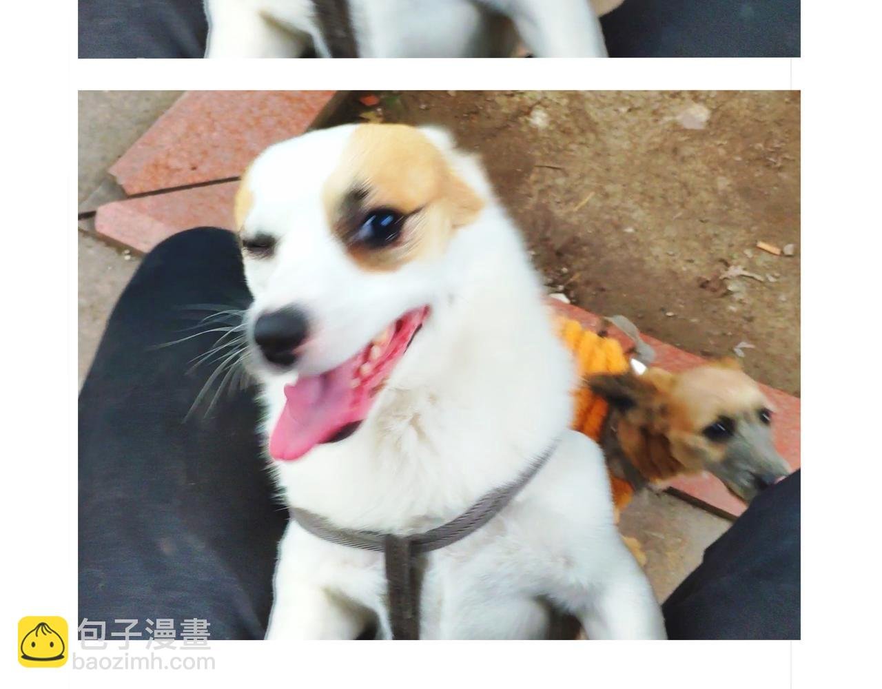 酸溜溜