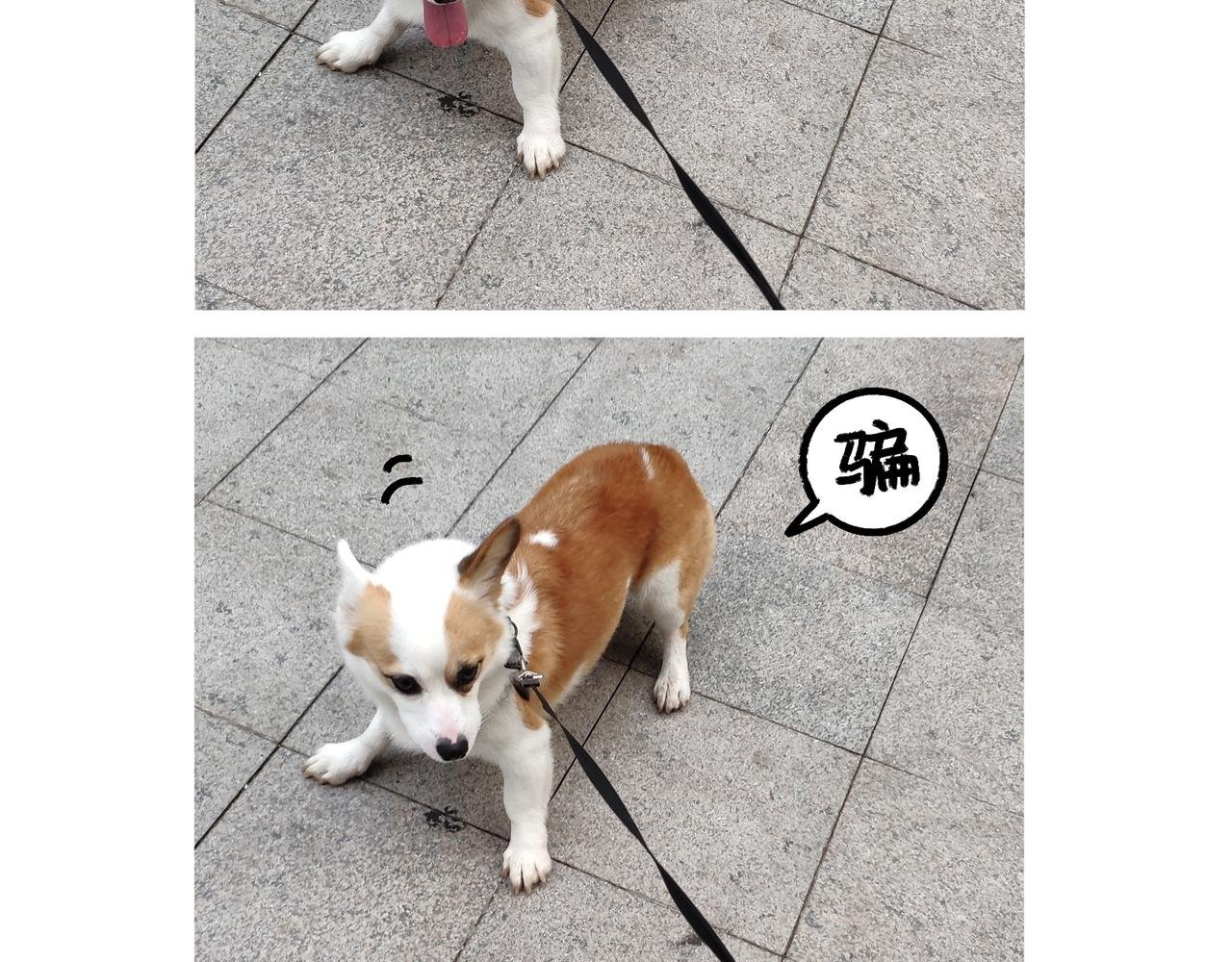 酸溜溜