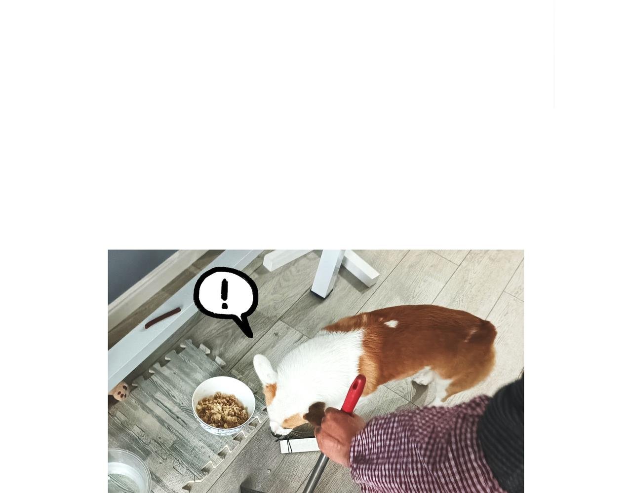 乖孩子要好好吃饭