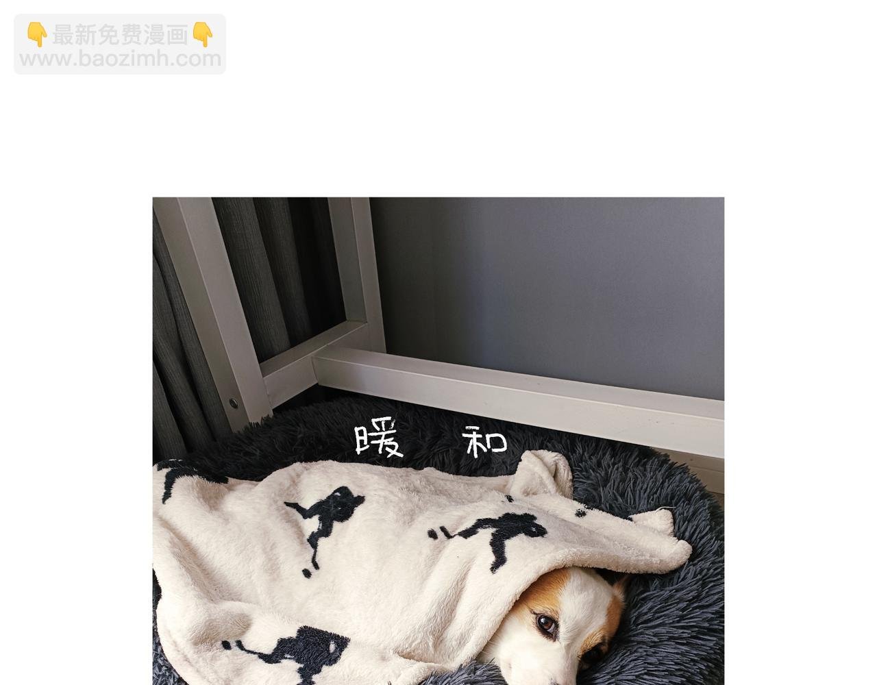 哎呀！冬天！