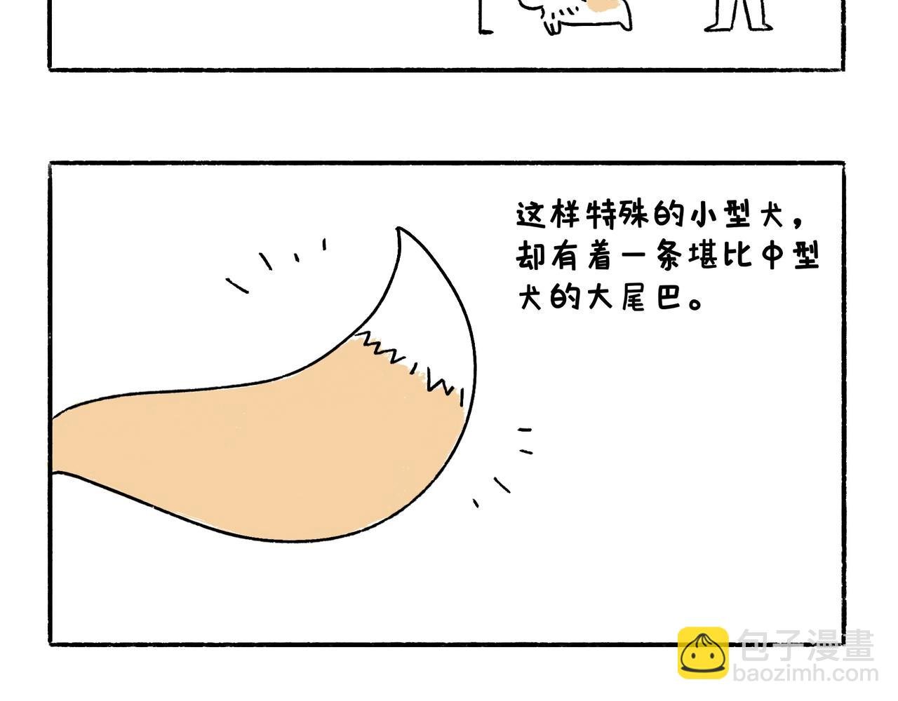 爸爸的离谱频道