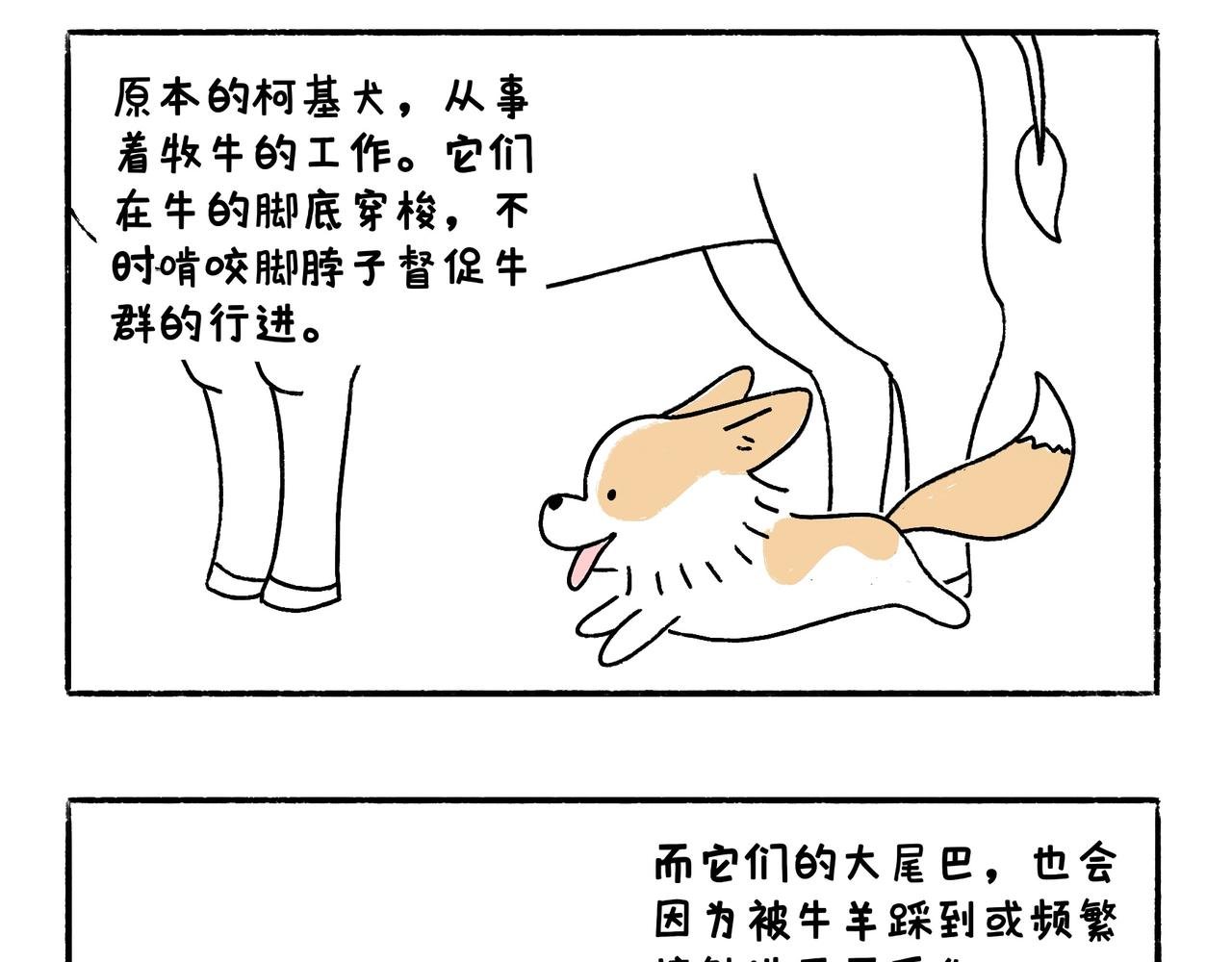 爸爸的离谱频道