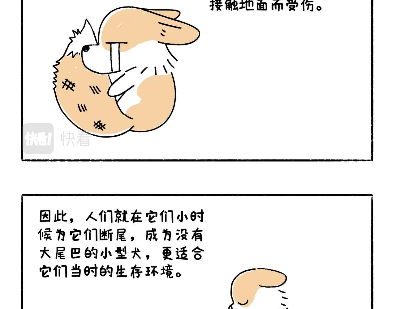 爸爸的离谱频道