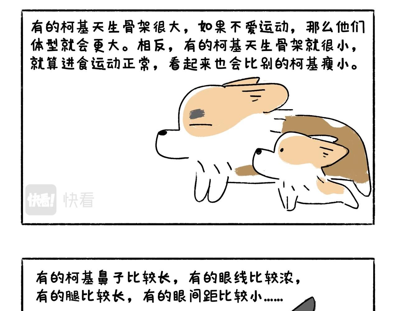 爸爸的离谱频道