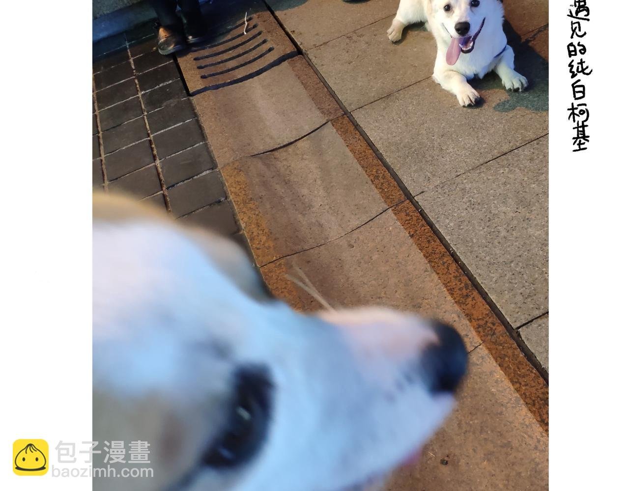 爸爸的离谱频道