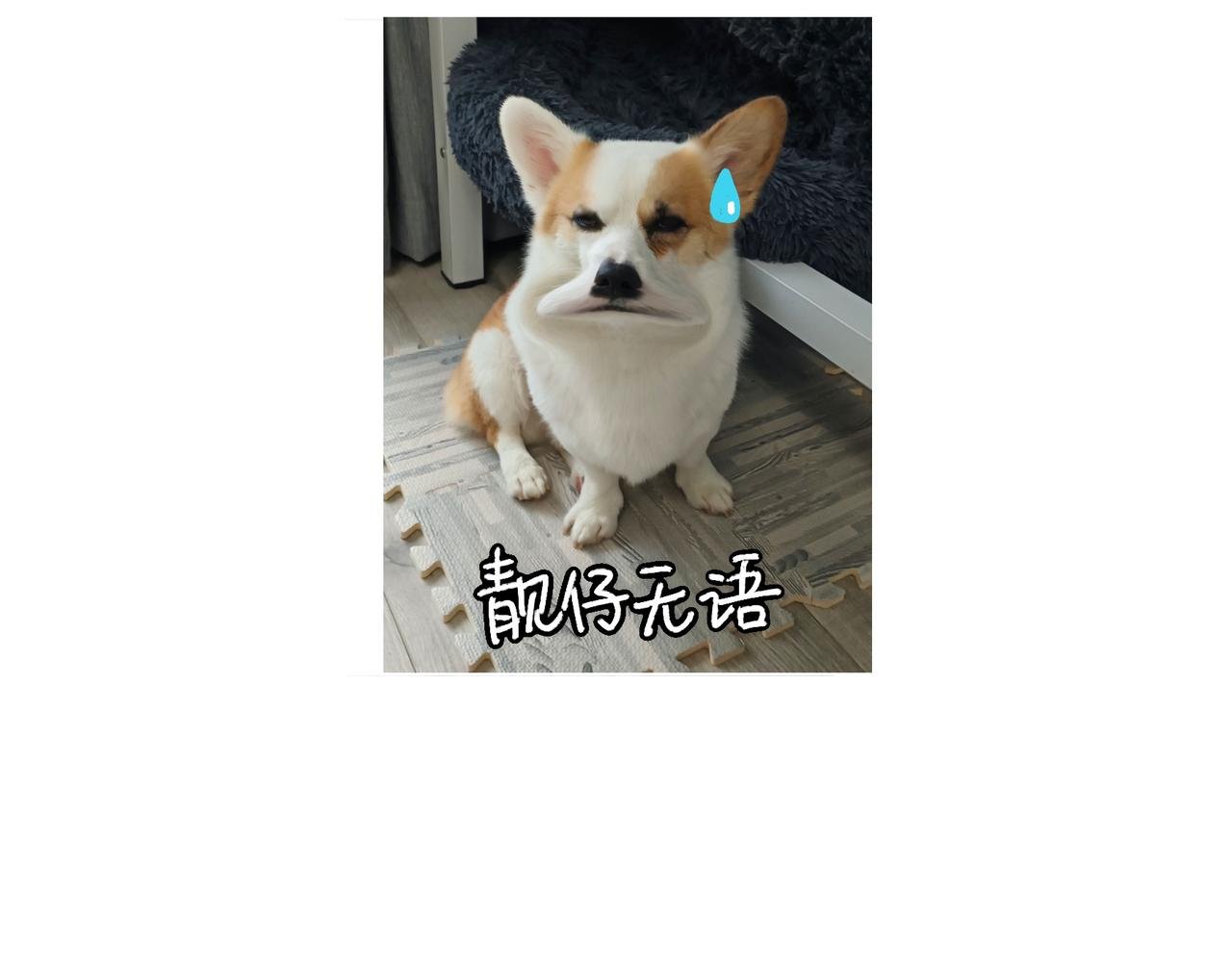 虎年春节篇1