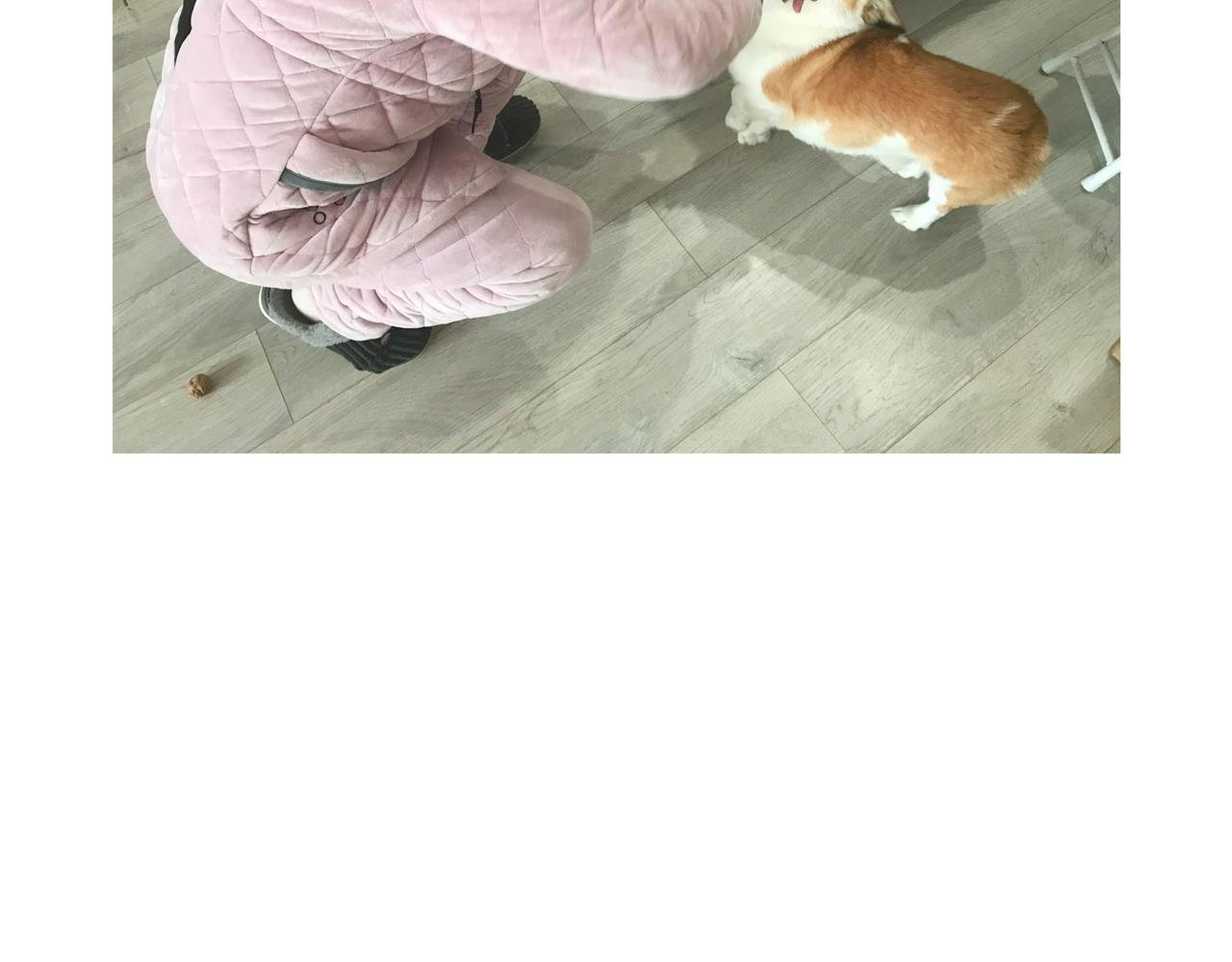 虎年春节篇2