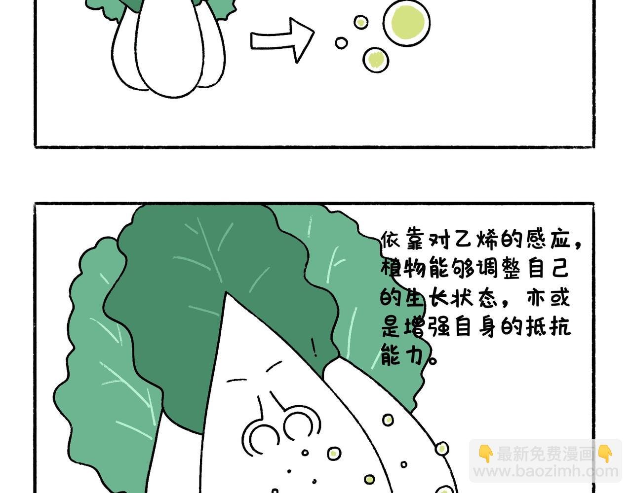 爸爸的科普频道3