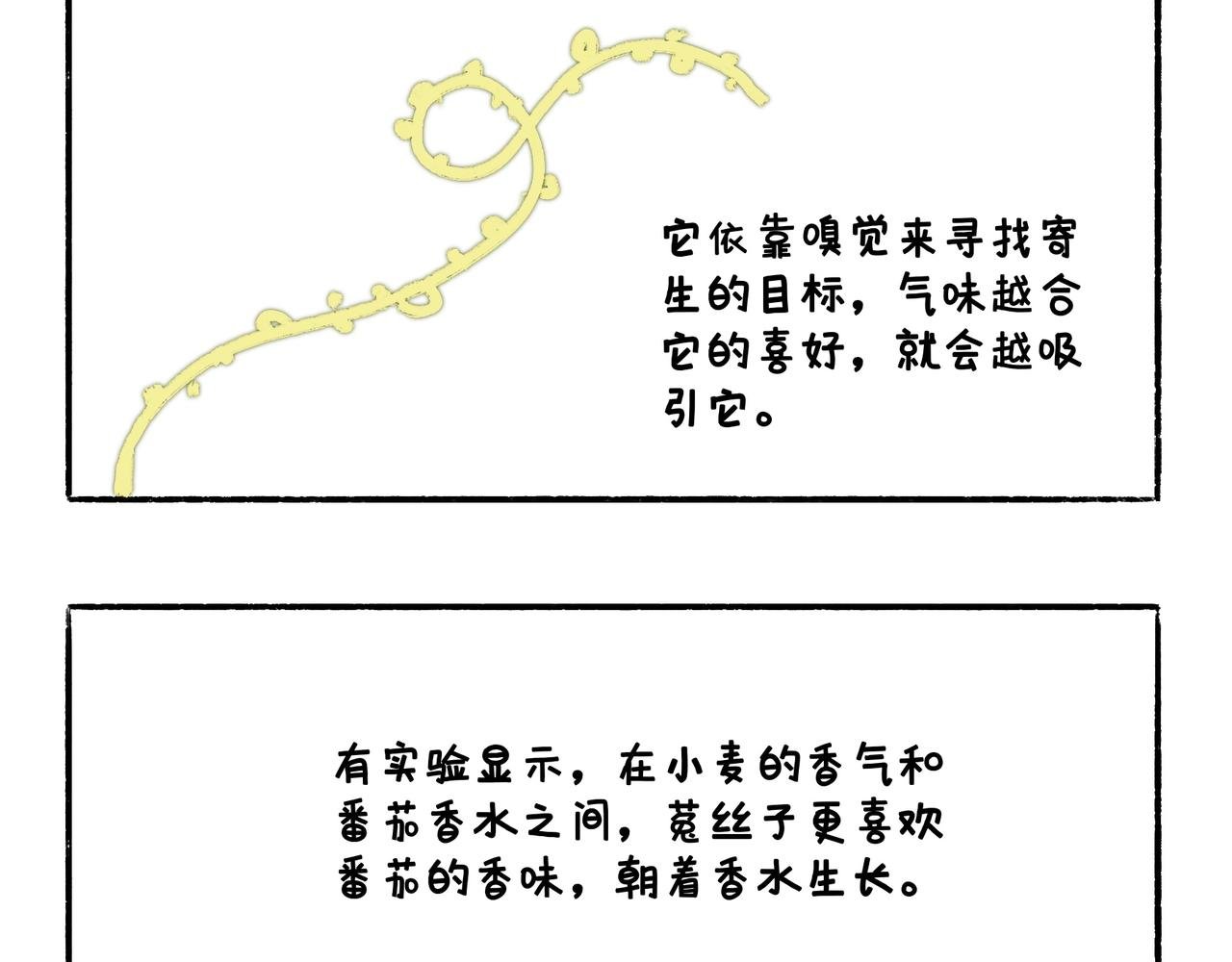 爸爸的科普频道3