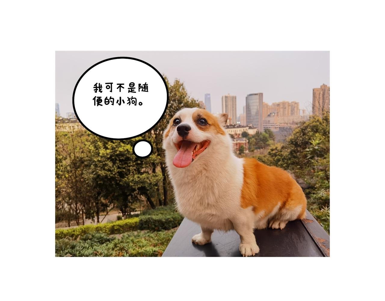 爸爸的科普频道3