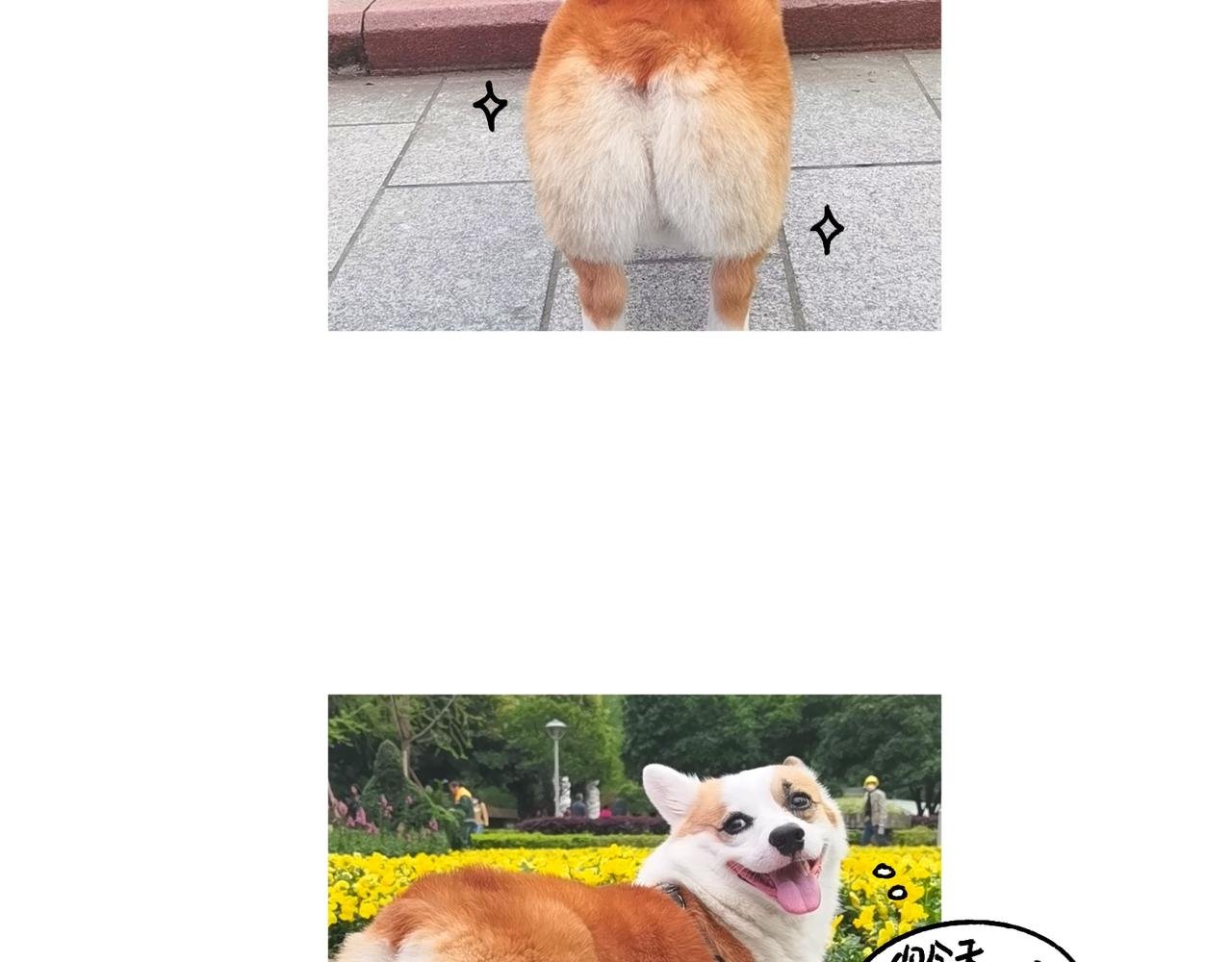 爸爸的故事大全III