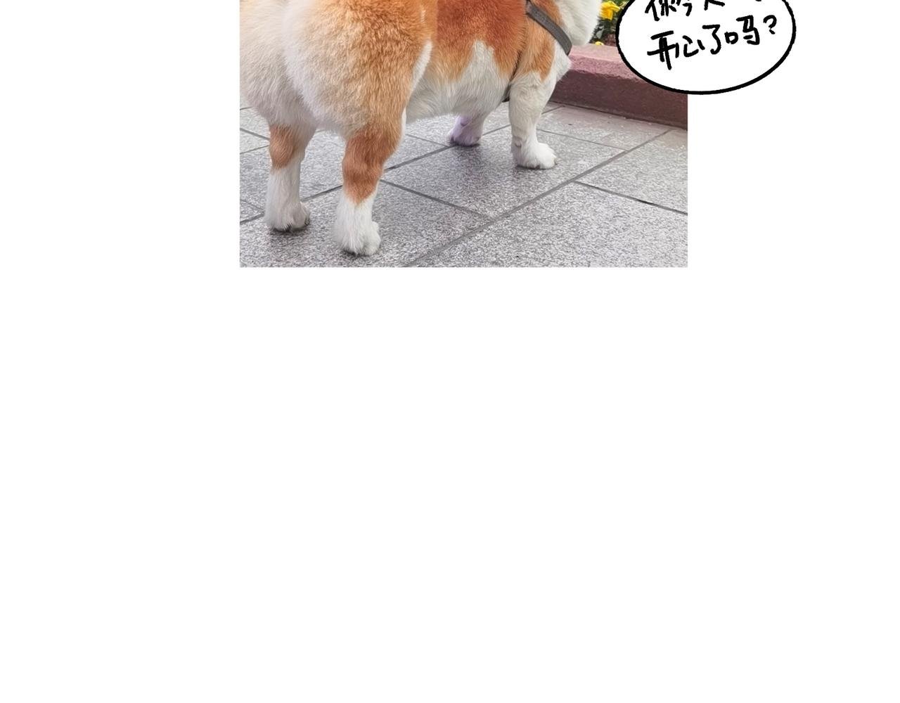 爸爸的故事大全III