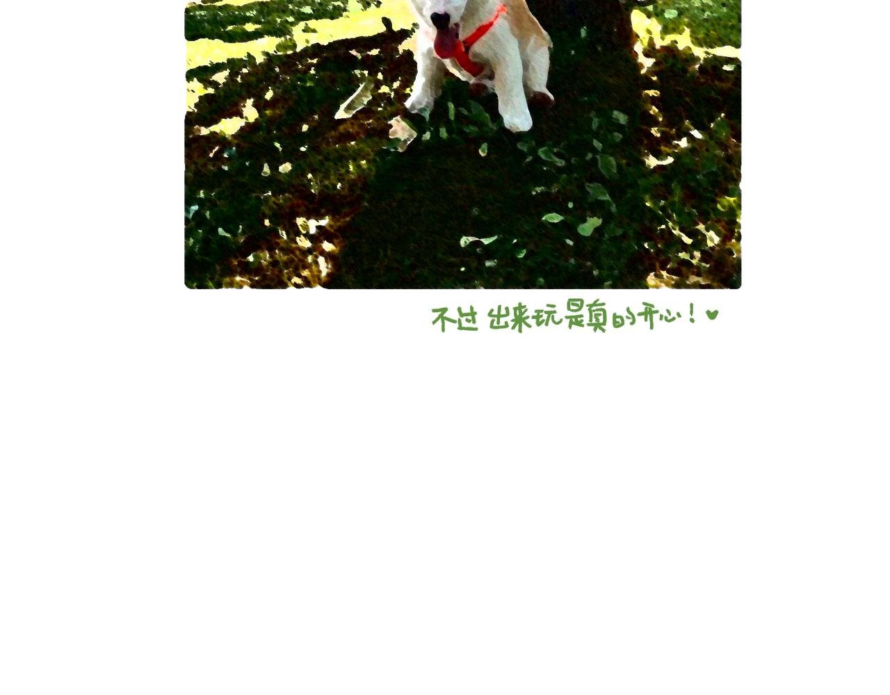 爸爸妈妈的爱