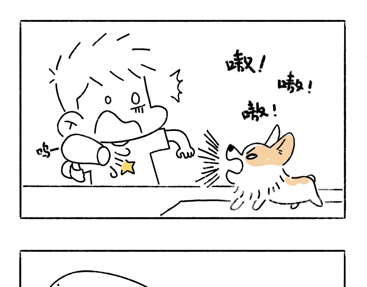 吹风机，一生之敌