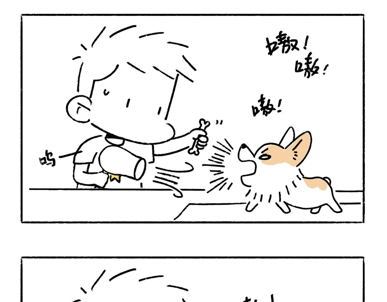吹风机，一生之敌