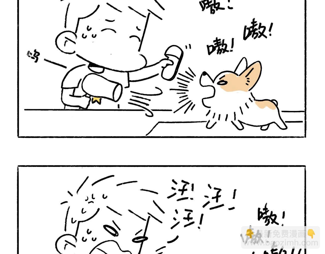 吹风机，一生之敌