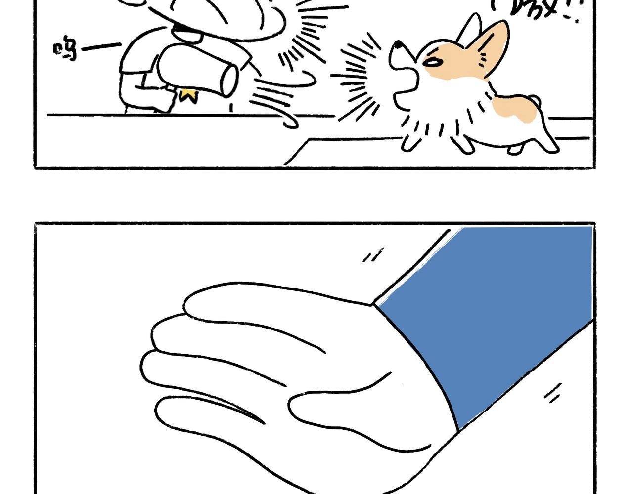 吹风机，一生之敌