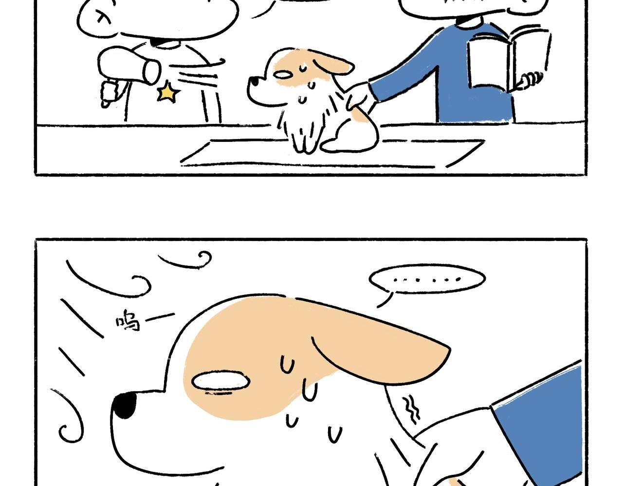 吹风机，一生之敌