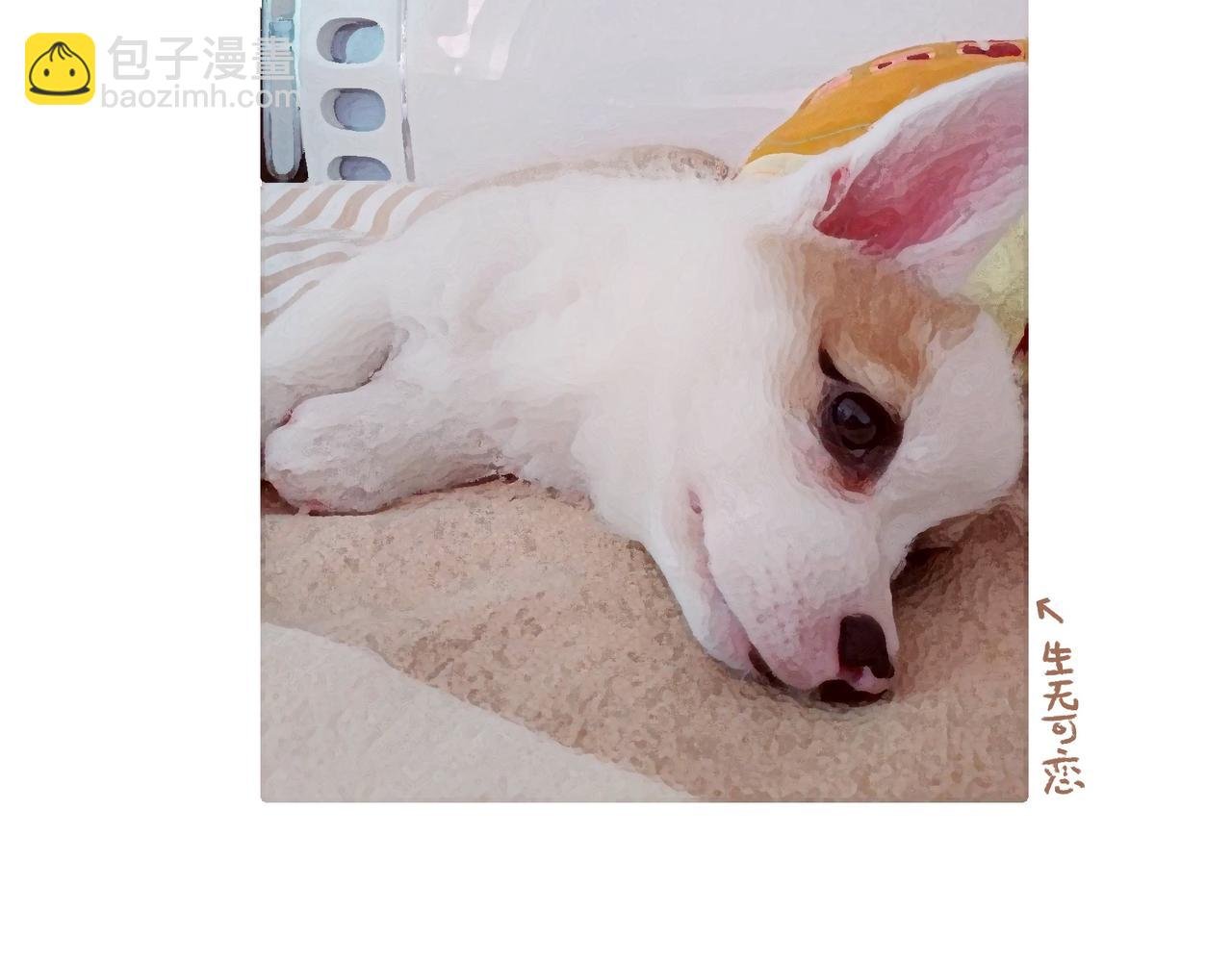 吹风机，一生之敌