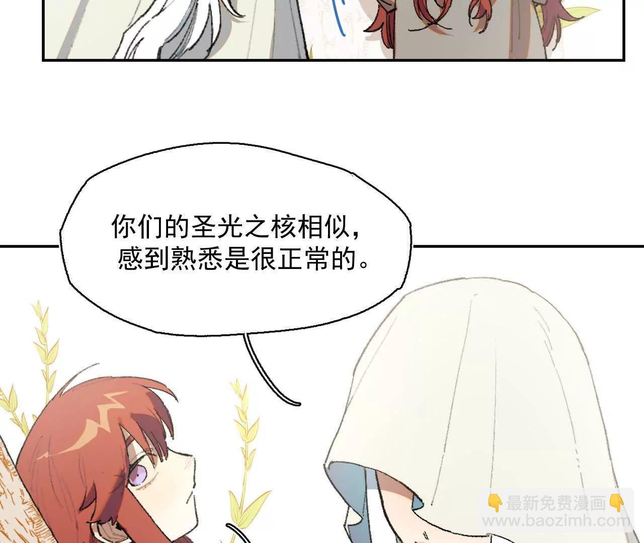 感受圣光之核