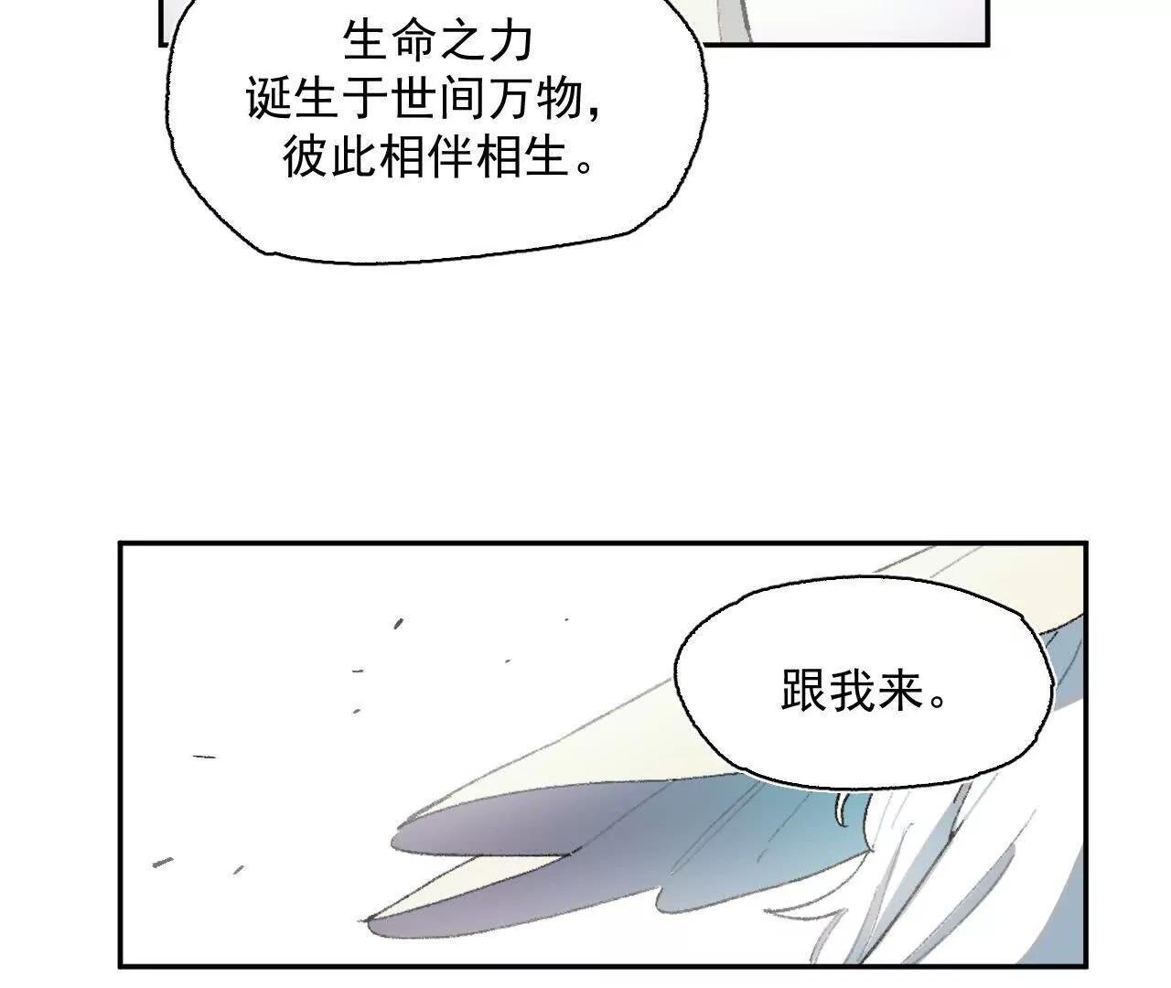 感受圣光之核
