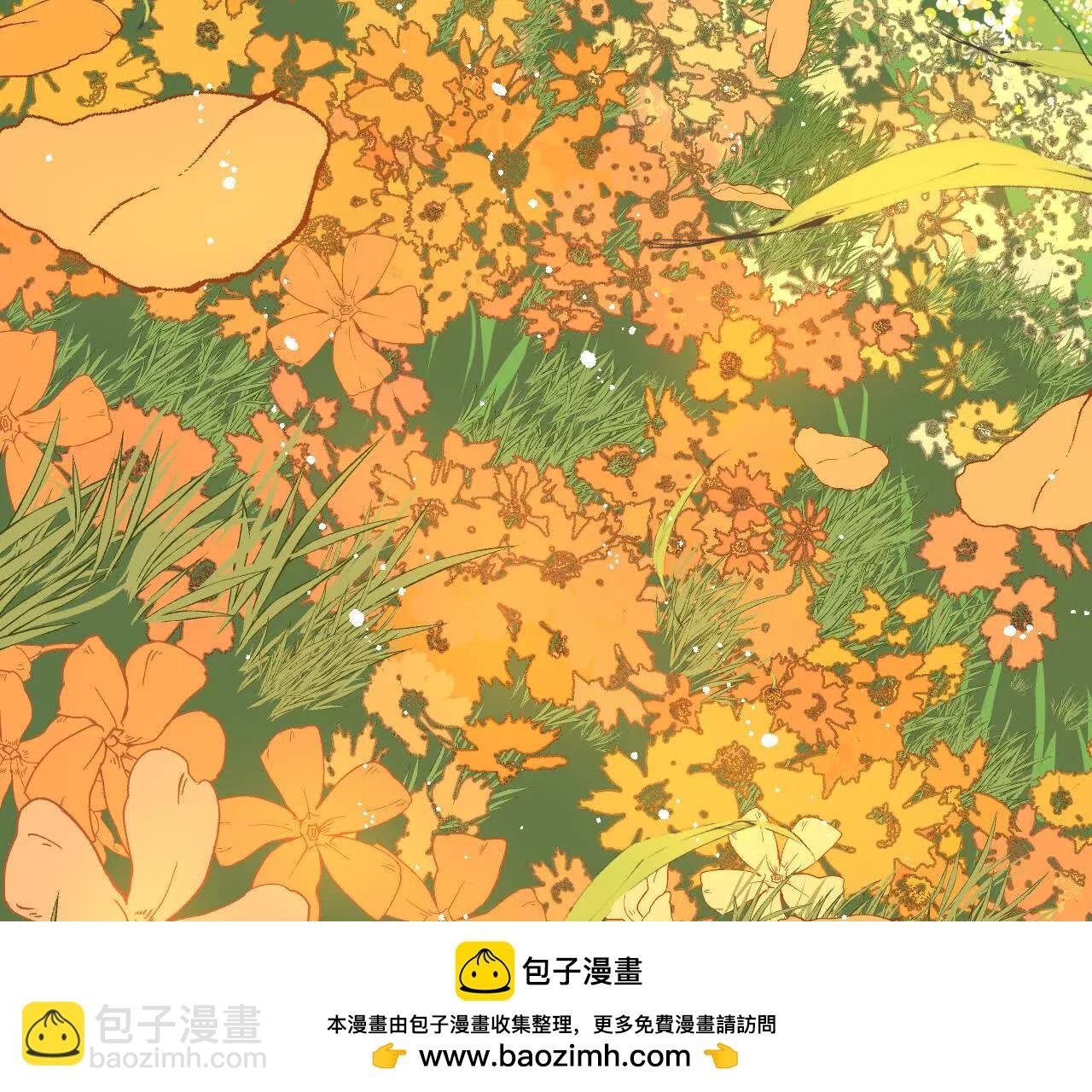 感受圣光之核