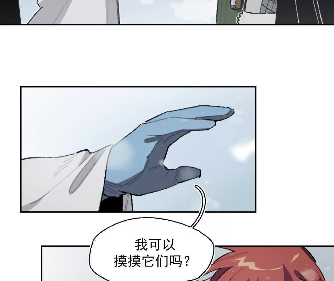 来自南部的和平鸽