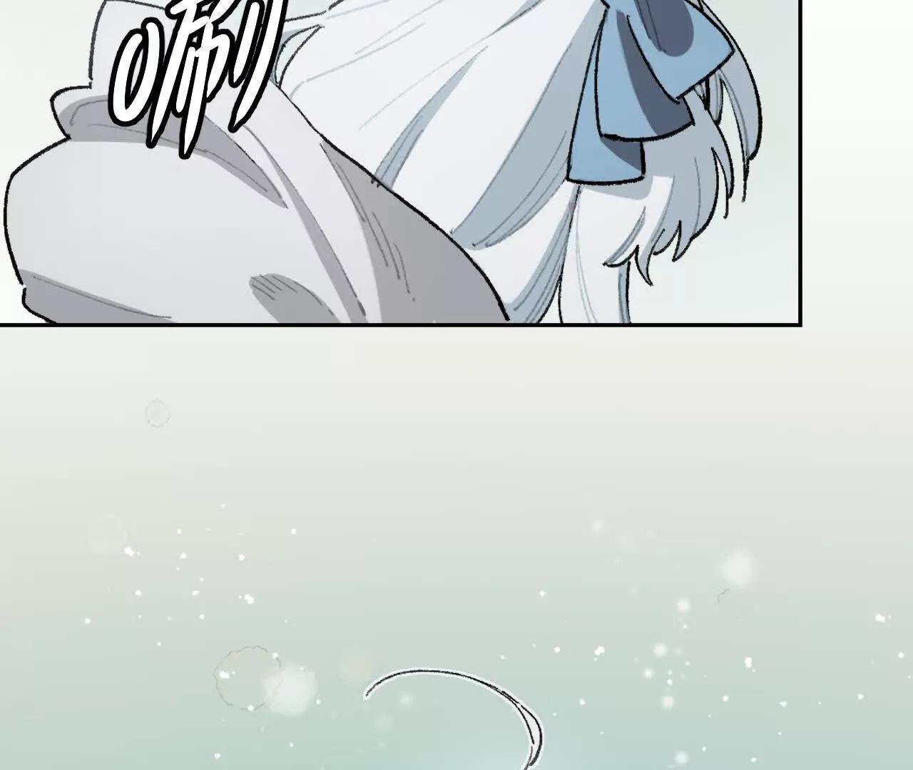 来自南部的和平鸽
