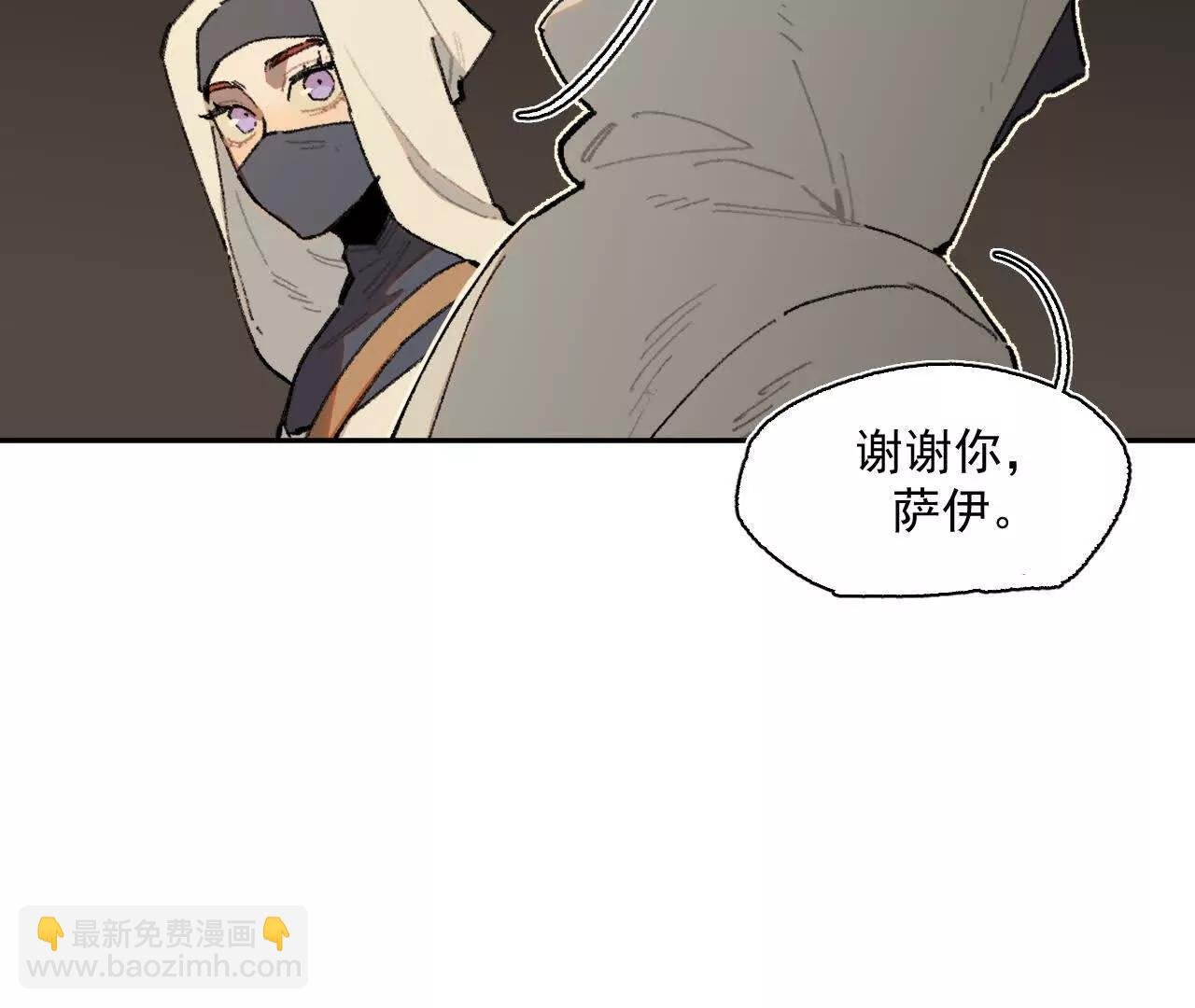 被控制的萨伊