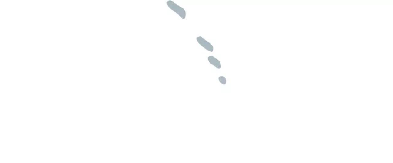 伪装搭救计划