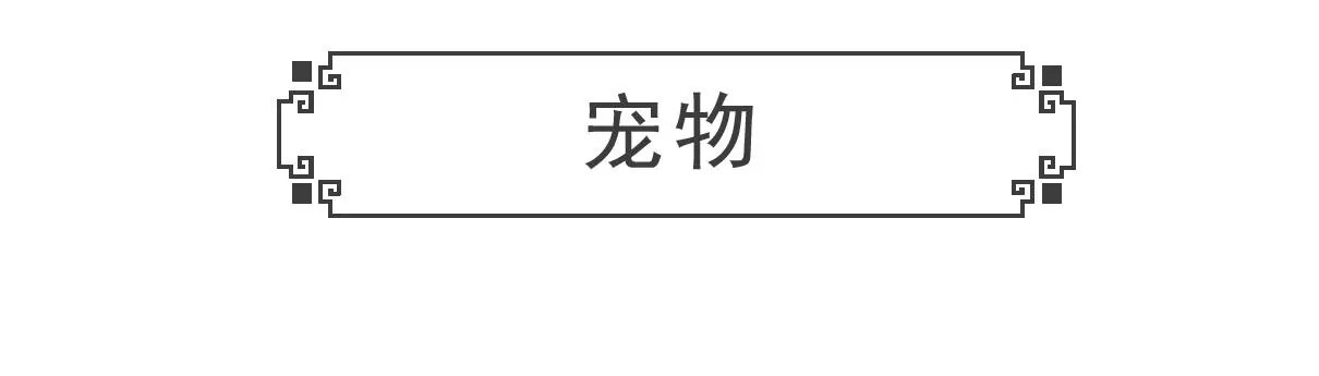 换男友