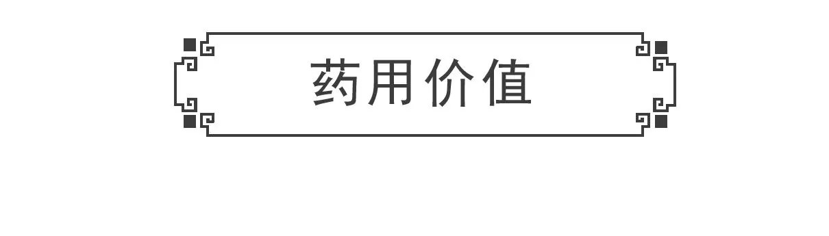 吉祥物