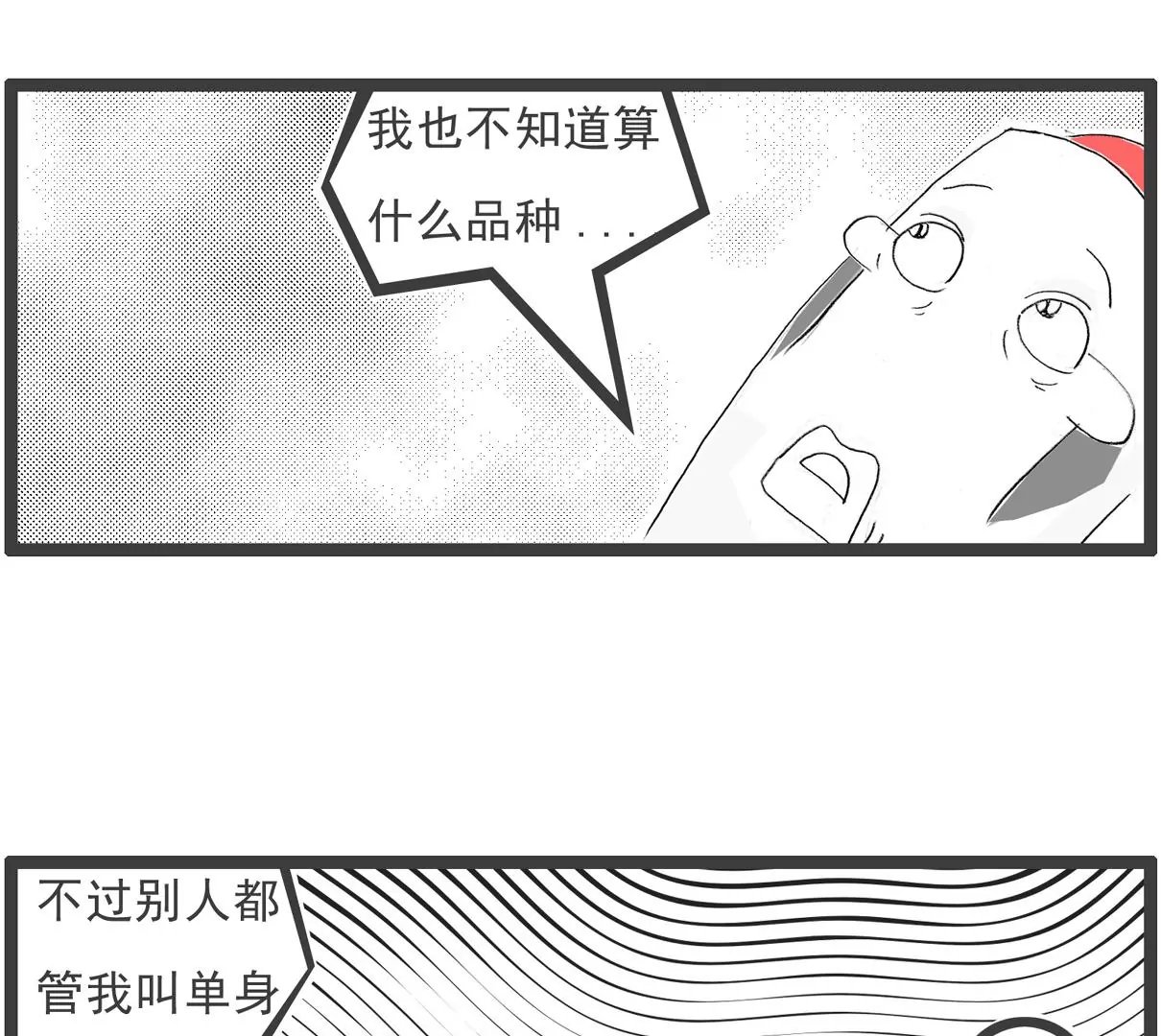 单身男生