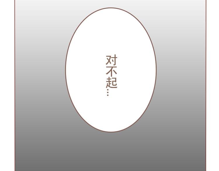 第23话 对不起，没有猫