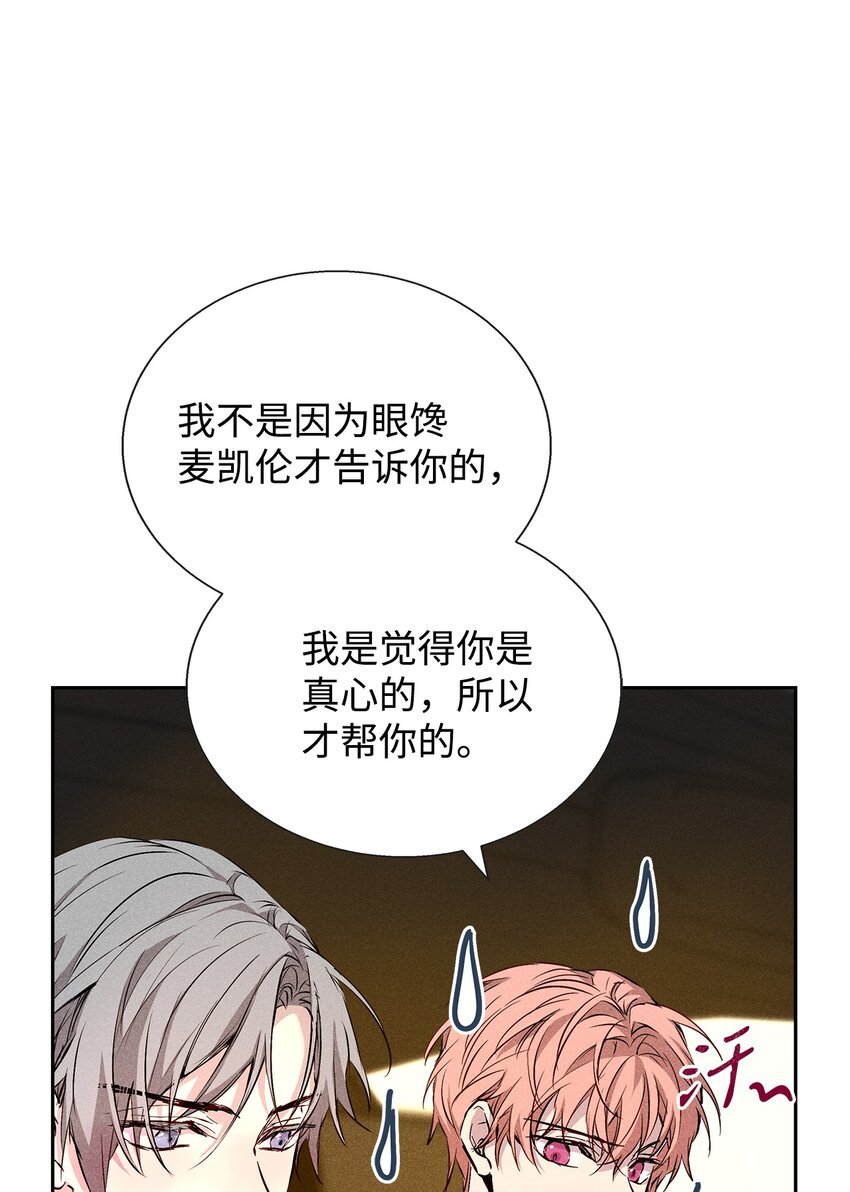 37 新公司
