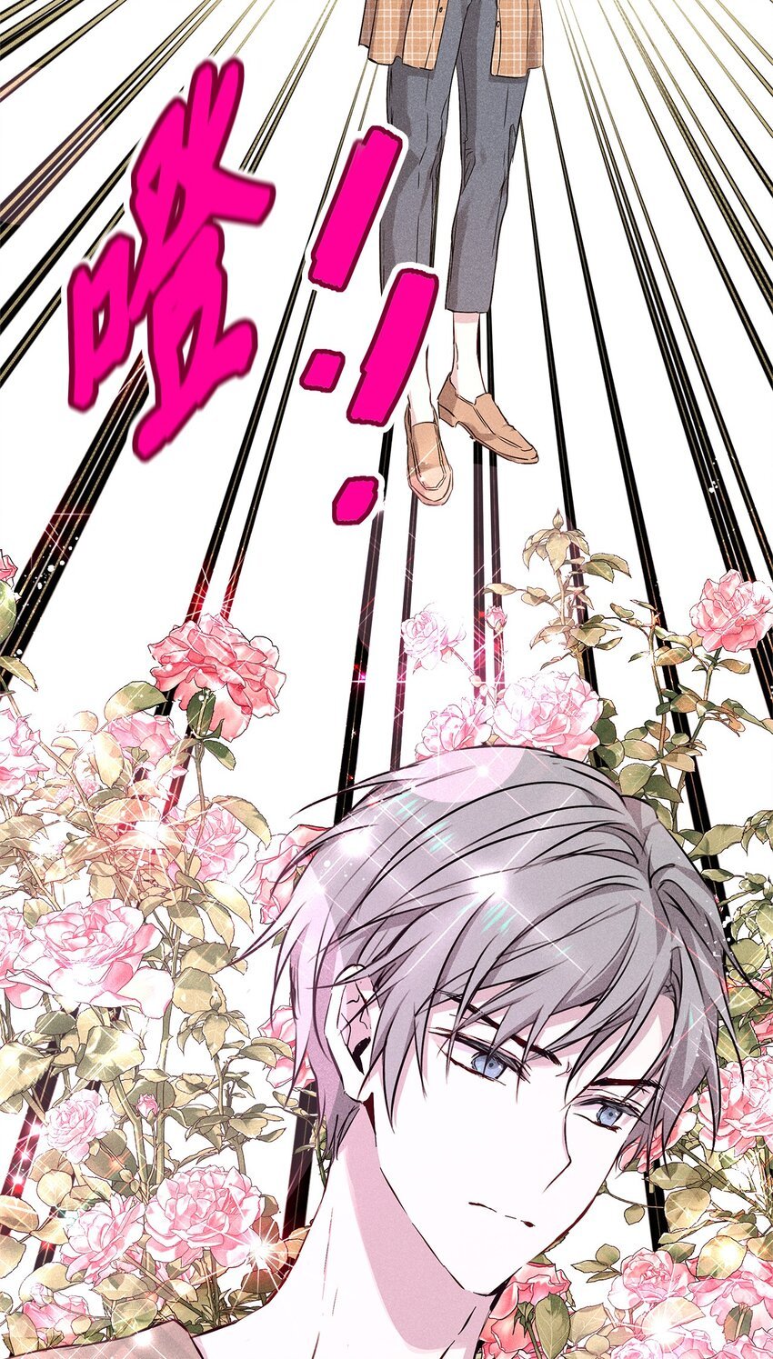 37 新公司