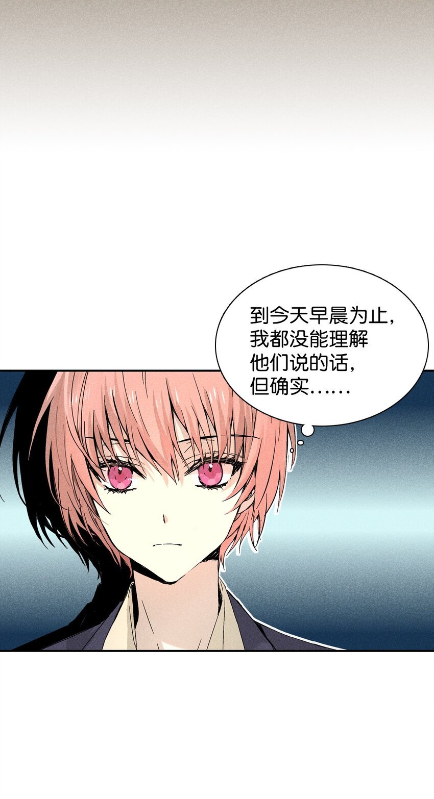 04 仅供观赏