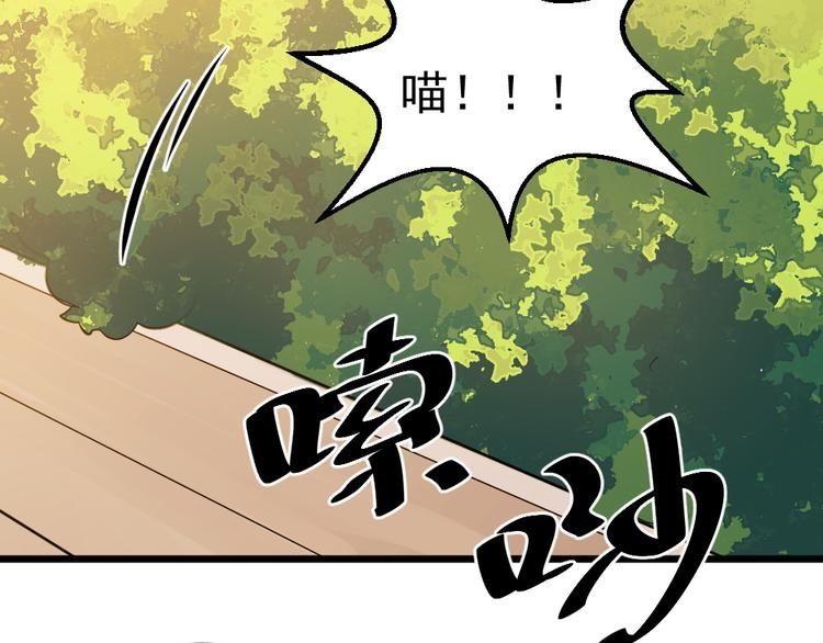 第10话 偶遇猫咪~？！