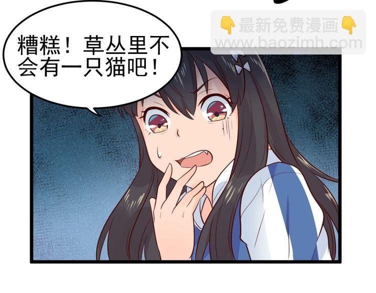 第10话 偶遇猫咪~？！