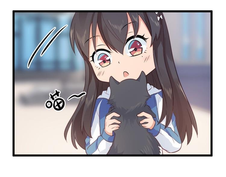 第10话 偶遇猫咪~？！